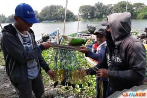 Penerapan Program Fisheries Cooperative Kepada Masyarakat Tunakarya Kabupaten Gresik